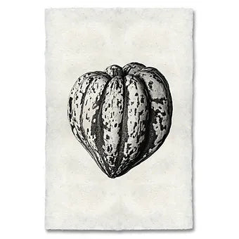 Barloga Vegetable Studies