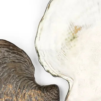 Oceanology Scallop Plate